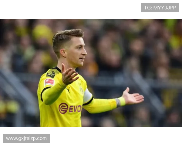 尼科威廉斯伤情反复将缺阵四周